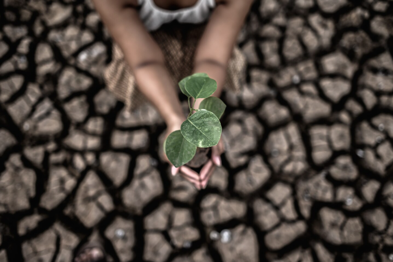 Screenshot 2026 03 06 112716