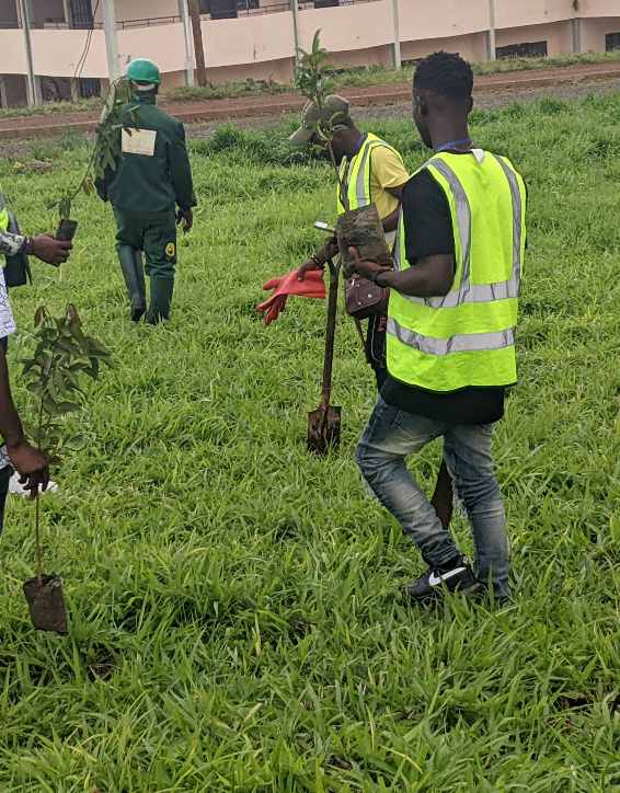 Screenshot 2026 03 06 121602