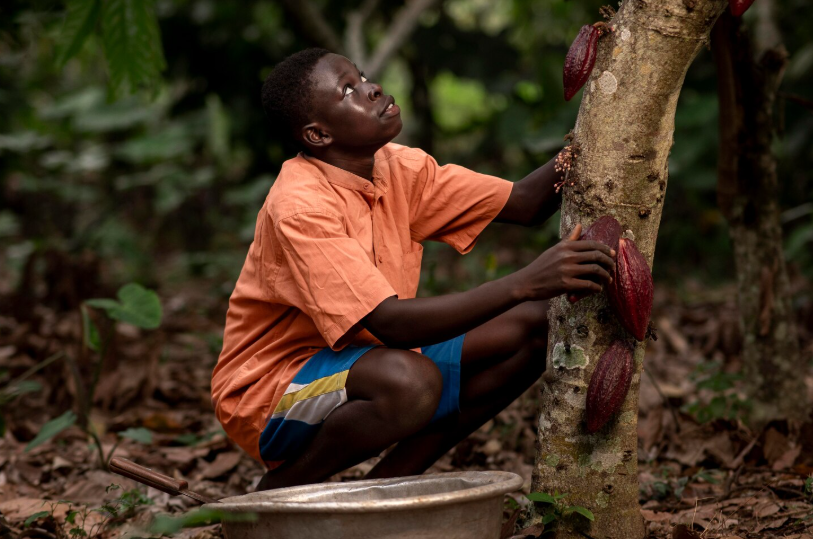 Screenshot 2026 03 06 171939